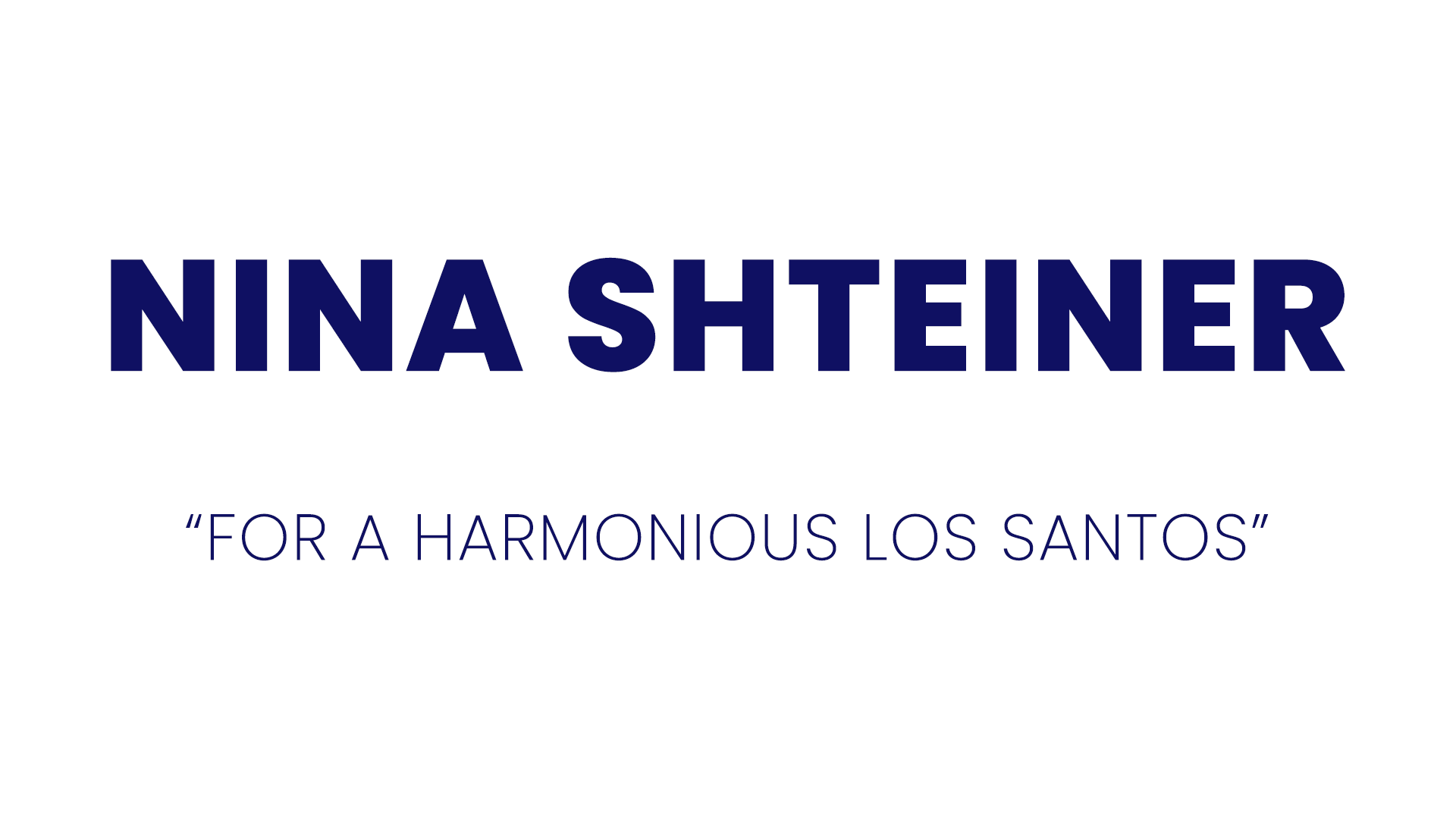 NINA SHTEINER 2025 ELECTION CITY COUNCIL